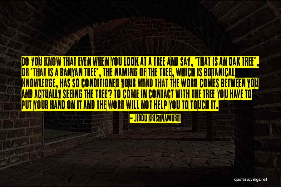 Shvatite Quotes By Jiddu Krishnamurti Shvatite Quotes By Jiddu Krishnamurti