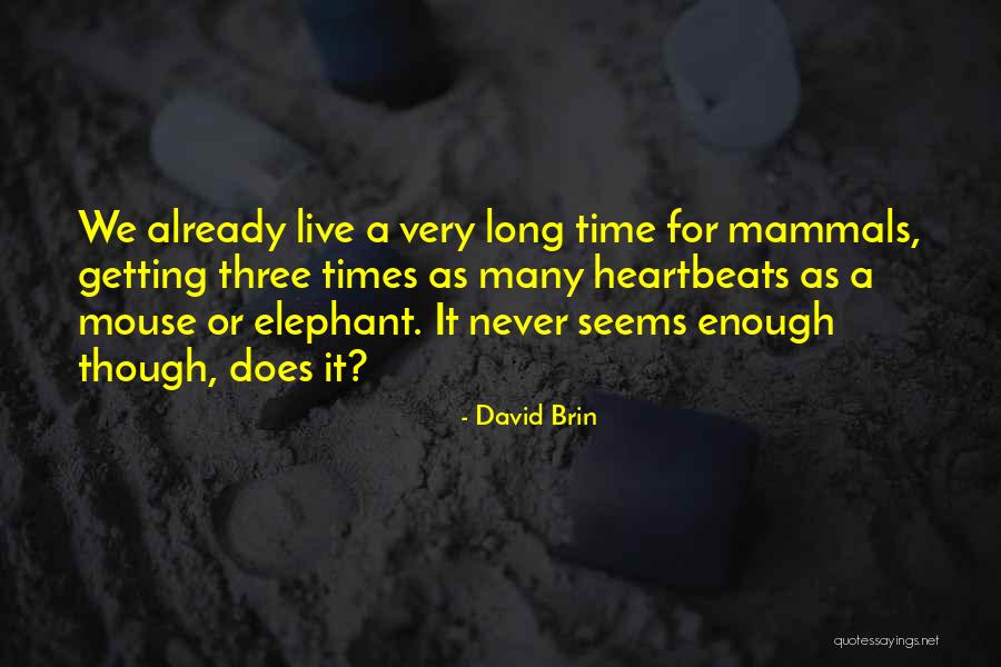 Shwayze Country Quotes By David Brin Shwayze Country Quotes By David Brin