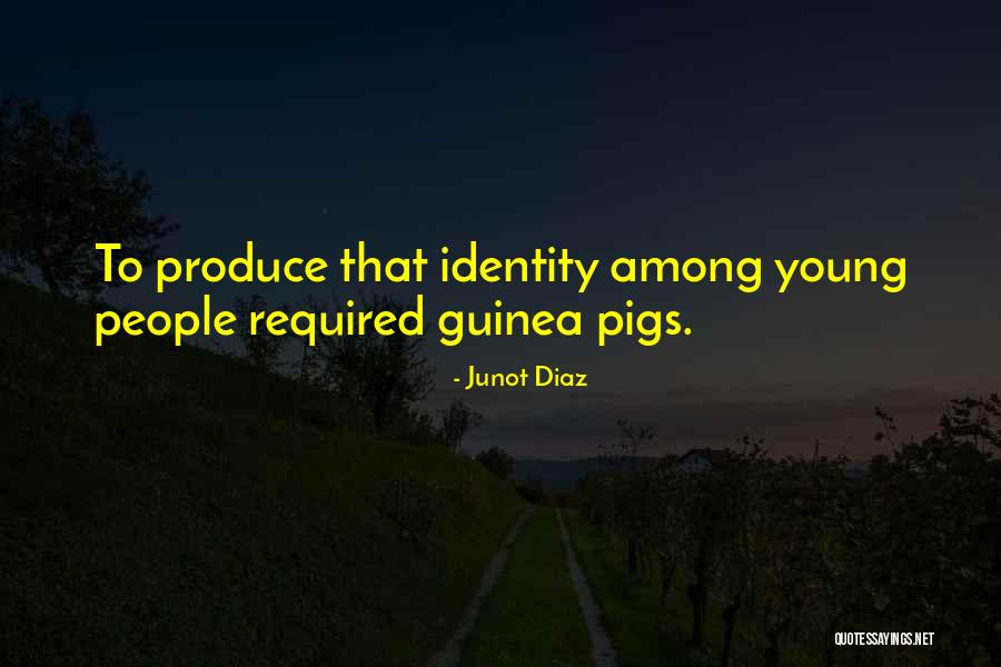Shwekey Concert Quotes By Junot Diaz Shwekey Concert Quotes By Junot Diaz