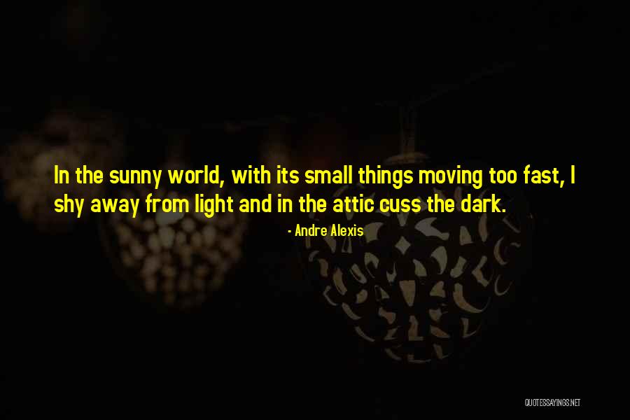 Shy Away Quotes By Andre Alexis Shy Away Quotes By Andre Alexis