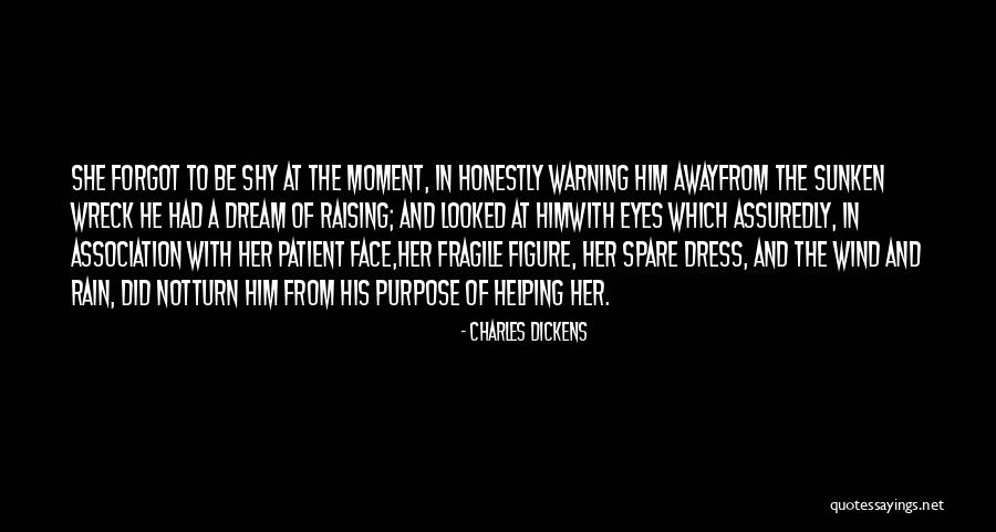 Shy Away Quotes By Charles Dickens Shy Away Quotes By Charles Dickens