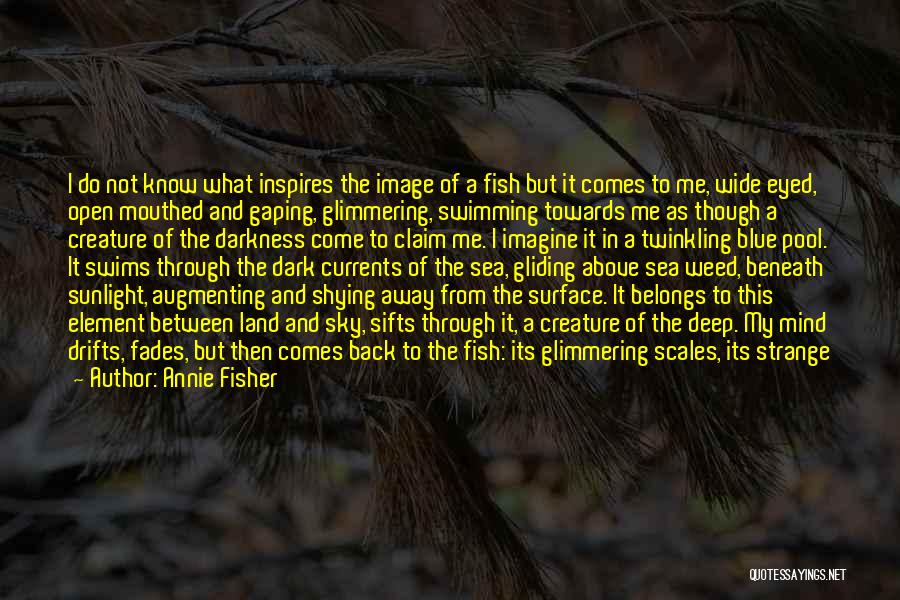 Shying Away Quotes By Annie Fisher