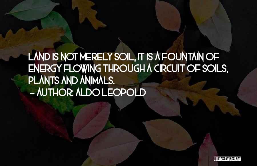 Shylock And Tubal Quotes By Aldo Leopold