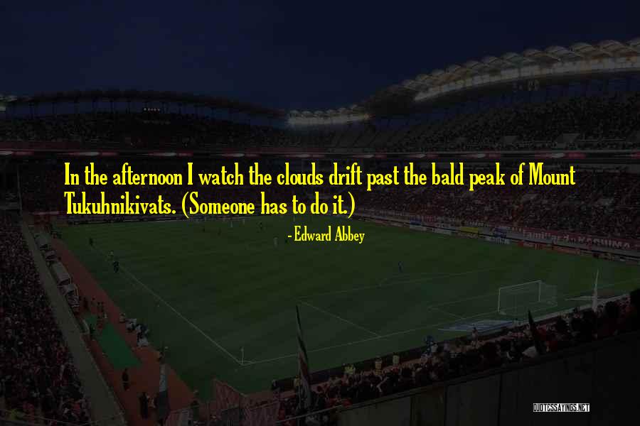 Shymanski And Associates Quotes By Edward Abbey Shymanski And Associates Quotes By Edward Abbey