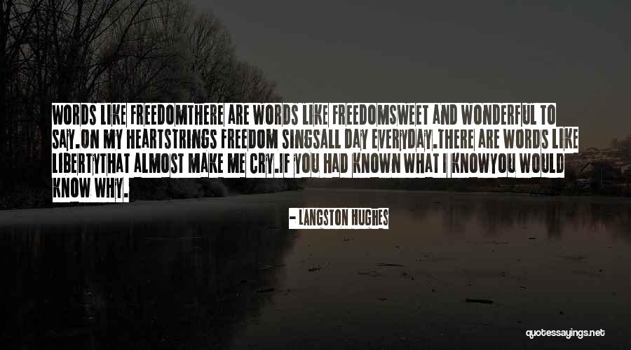 Si Duck Commander Quotes By Langston Hughes