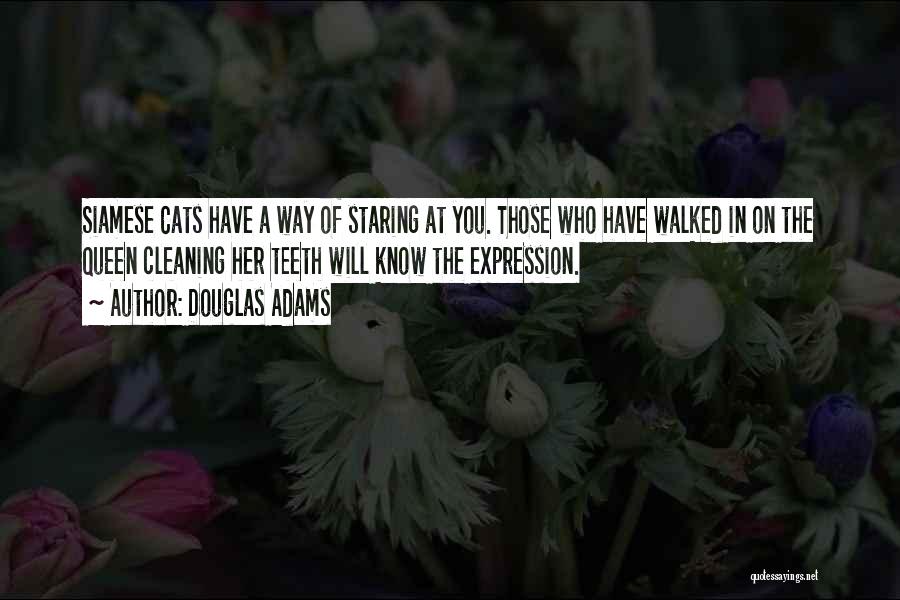 Siamese Cat Quotes By Douglas Adams