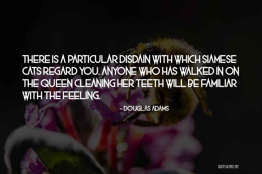 Siamese Cats Quotes By Douglas Adams Siamese Cats Quotes By Douglas Adams