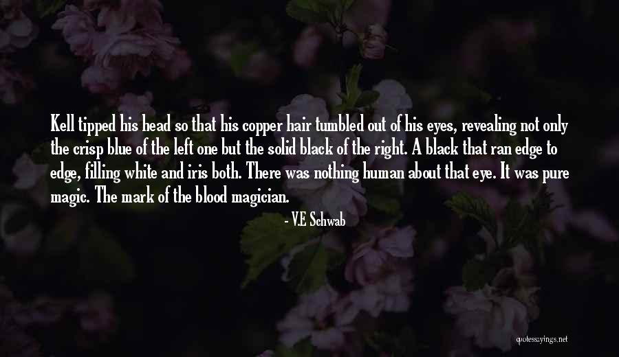 Sibaja Md Quotes By V.E Schwab Sibaja Md Quotes By V.E Schwab