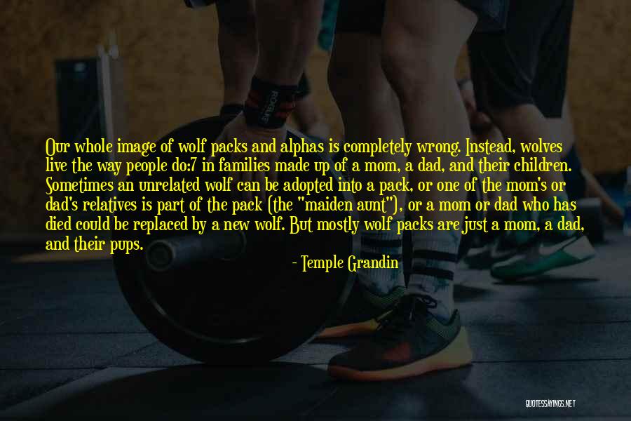 Sibanda Begs Quotes By Temple Grandin Sibanda Begs Quotes By Temple Grandin