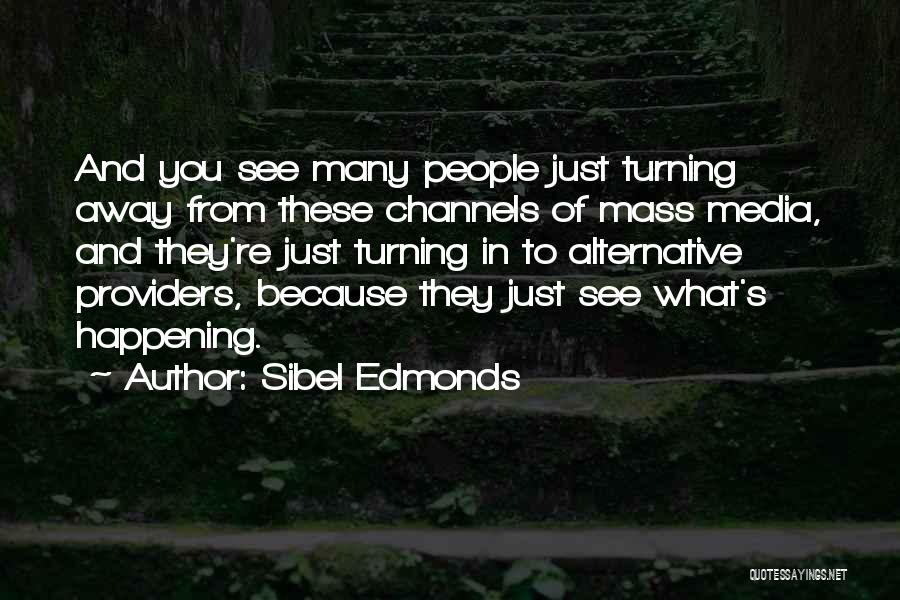 Sibel Edmonds Quotes 1350150