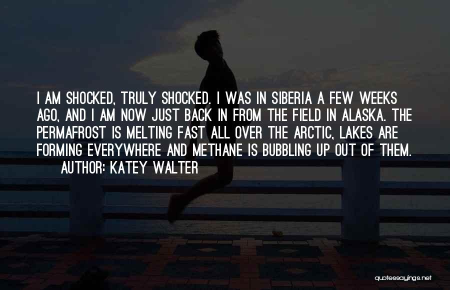 Siberia Quotes By Katey Walter