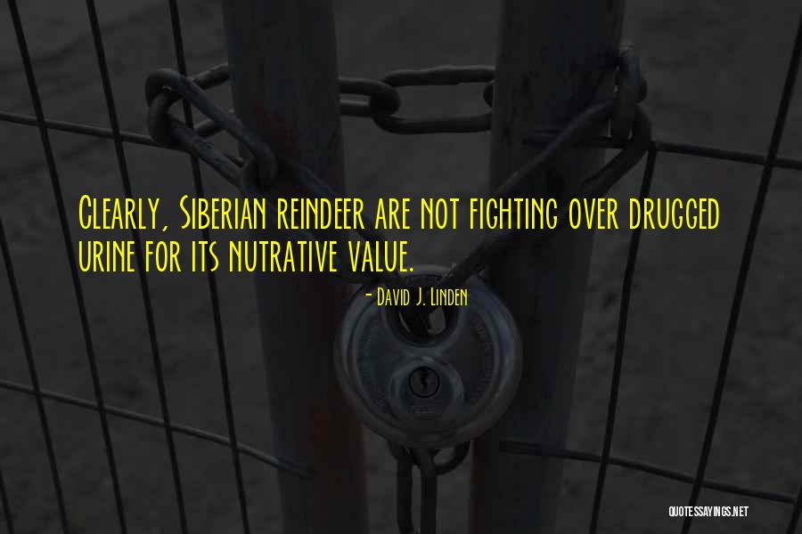 Siberian Quotes By David J. Linden Siberian Quotes By David J. Linden