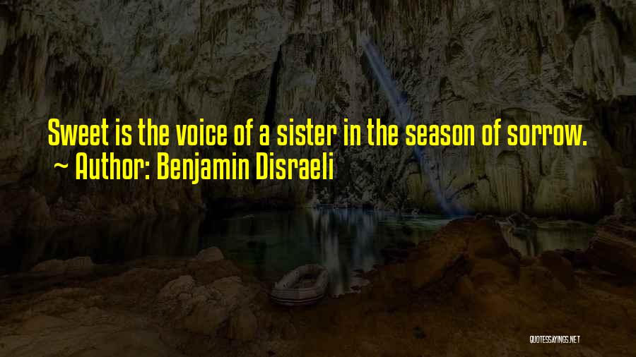 Sibling Quotes By Benjamin Disraeli