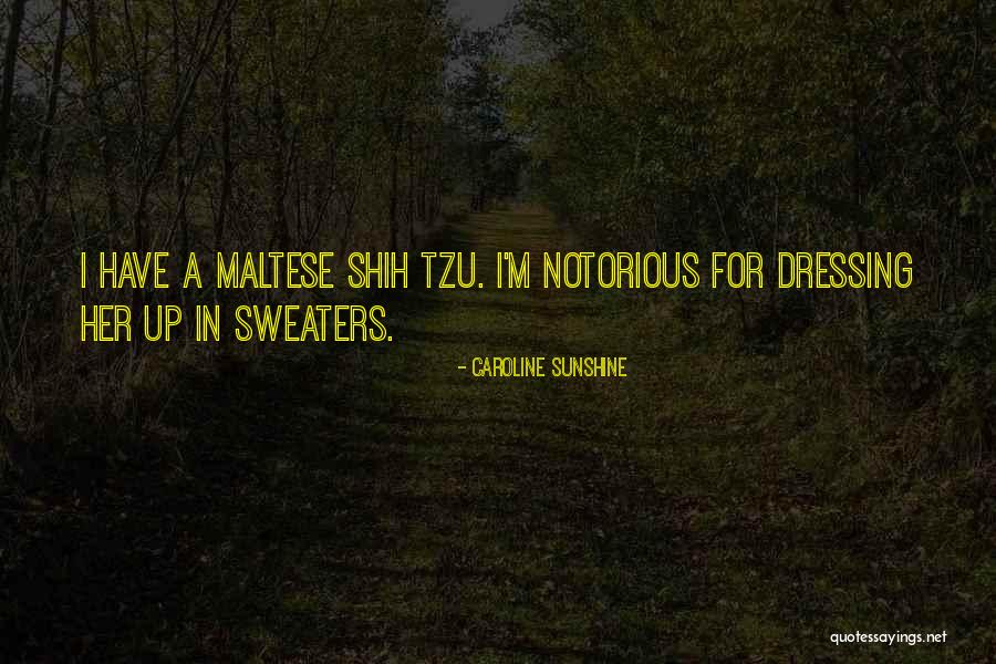 Siblings In Islam Quotes By Caroline Sunshine Siblings In Islam Quotes By Caroline Sunshine