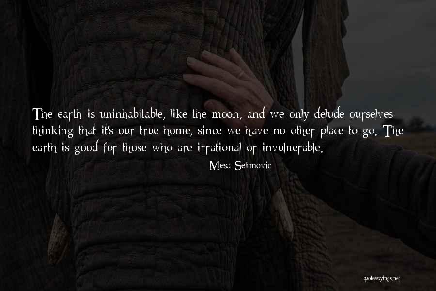 Siblings In Islam Quotes By Mesa Selimovic Siblings In Islam Quotes By Mesa Selimovic