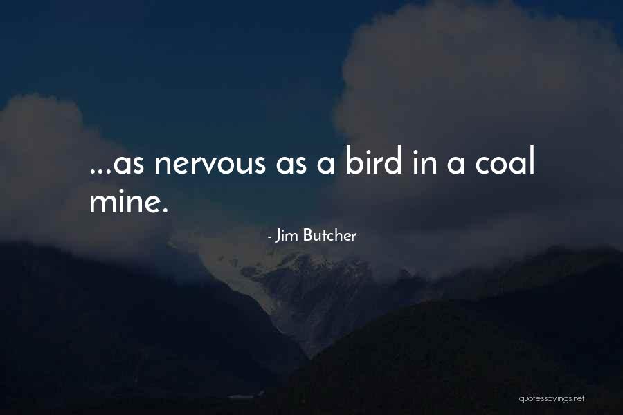 Sibson Fascia Quotes By Jim Butcher Sibson Fascia Quotes By Jim Butcher