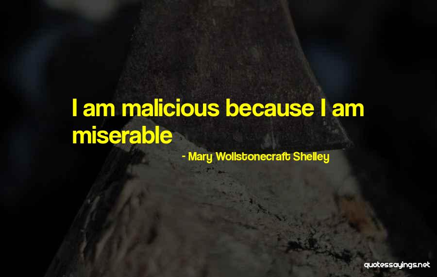Sibuka Quotes By Mary Wollstonecraft Shelley Sibuka Quotes By Mary Wollstonecraft Shelley