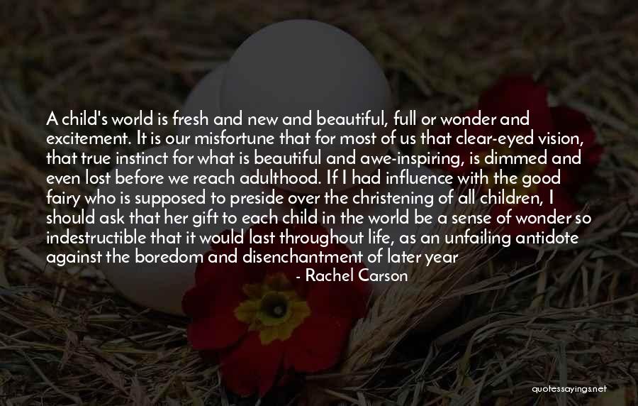 Sicardi Cortez Quotes By Rachel Carson Sicardi Cortez Quotes By Rachel Carson
