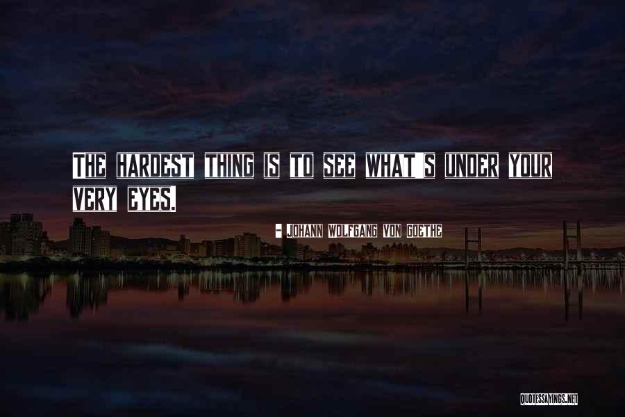 Sicignano Enterprises Quotes By Johann Wolfgang Von Goethe Sicignano Enterprises Quotes By Johann Wolfgang Von Goethe