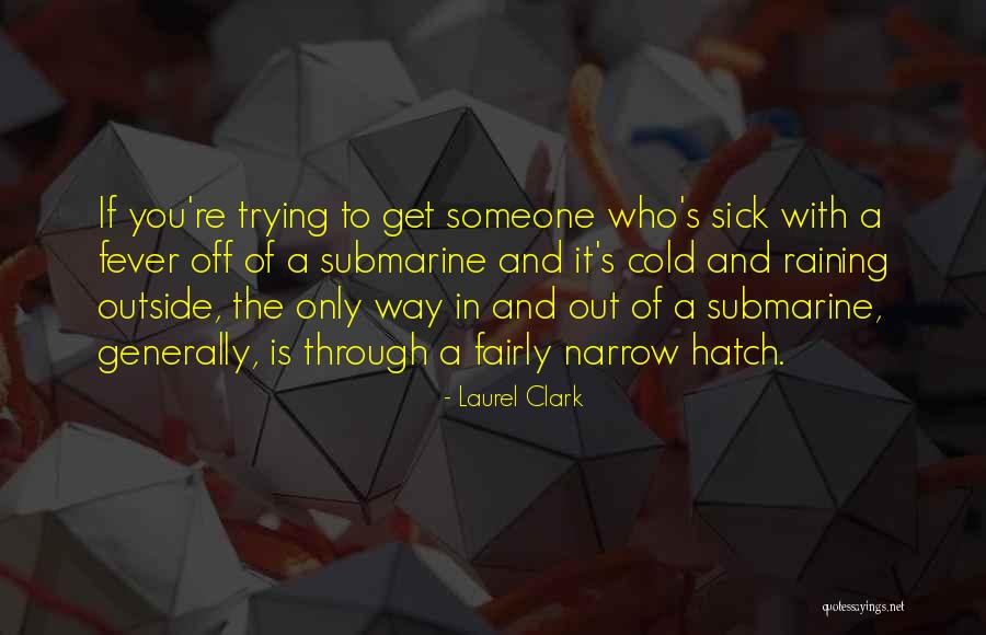 Sick And Cold Quotes By Laurel Clark