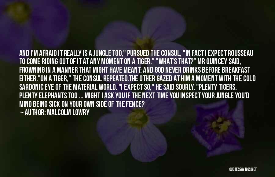 Sick And Cold Quotes By Malcolm Lowry