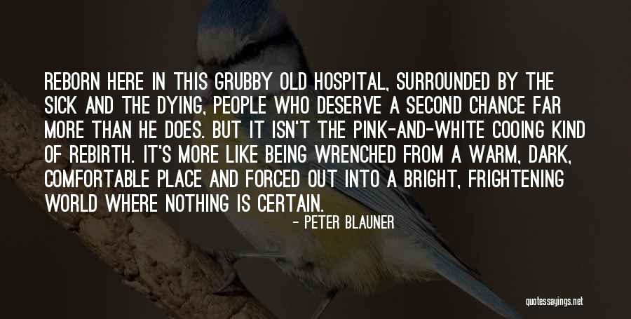 Sick And Dying Quotes By Peter Blauner