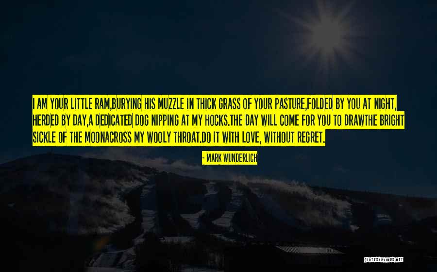 Sickle Quotes By Mark Wunderlich Sickle Quotes By Mark Wunderlich