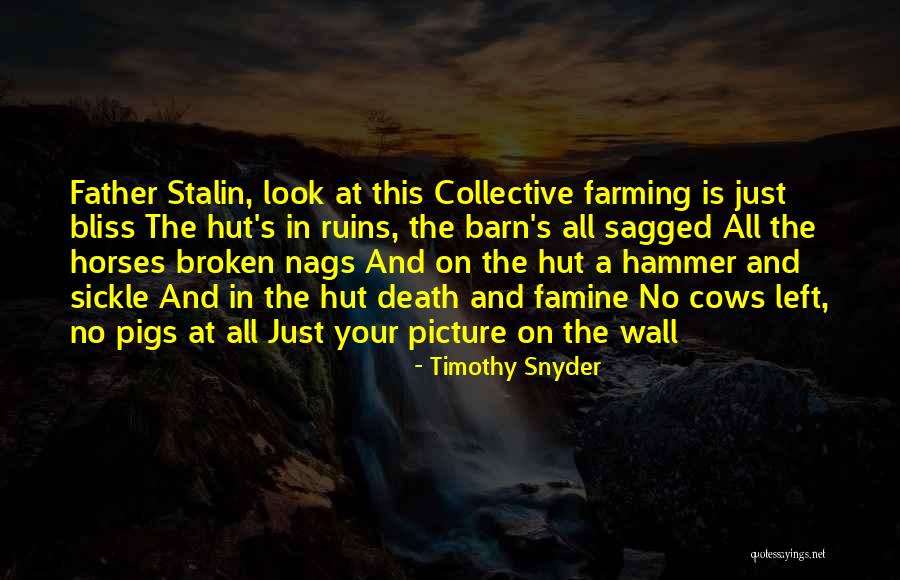 Sickle Quotes By Timothy Snyder