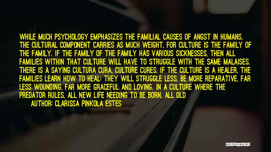Sickness In The Family Quotes By Clarissa Pinkola Estes