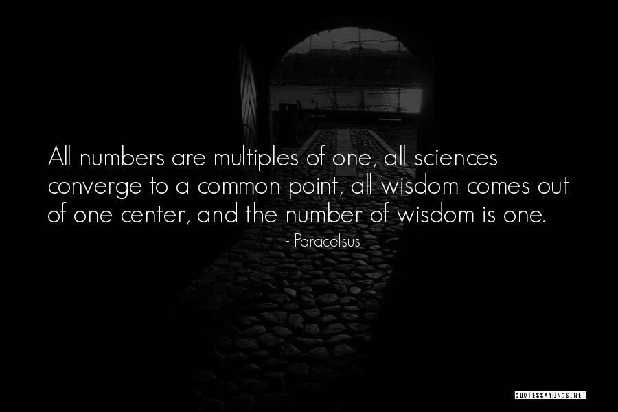 Sicp Quotes By Paracelsus Sicp Quotes By Paracelsus
