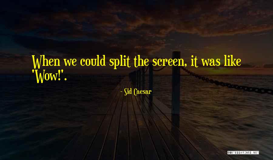 Sid Caesar Quotes 2249867
