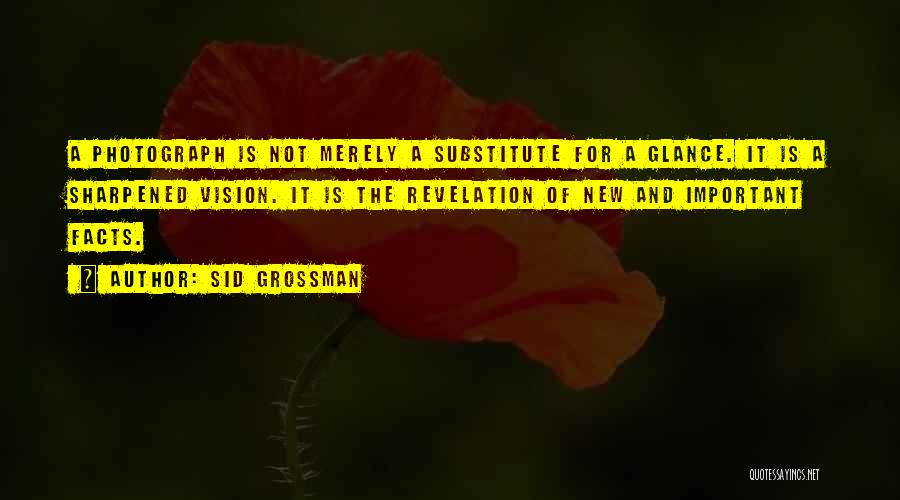 Sid Grossman Quotes 1861789