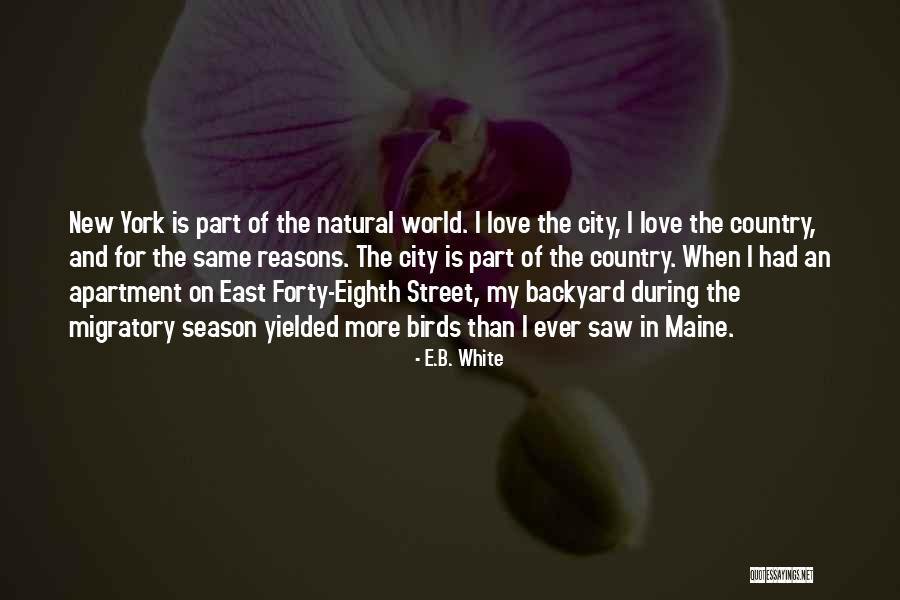 Sidaris Parody Quotes By E.B. White Sidaris Parody Quotes By E.B. White