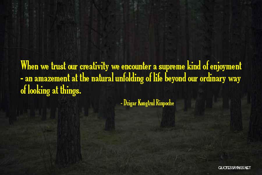 Siddhartha Deprivation Quotes By Dzigar Kongtrul Rinpoche Siddhartha Deprivation Quotes By Dzigar Kongtrul Rinpoche