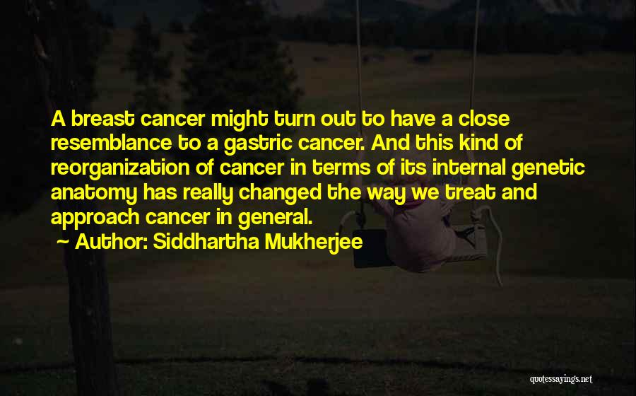 Siddhartha Mukherjee Quotes 1001042