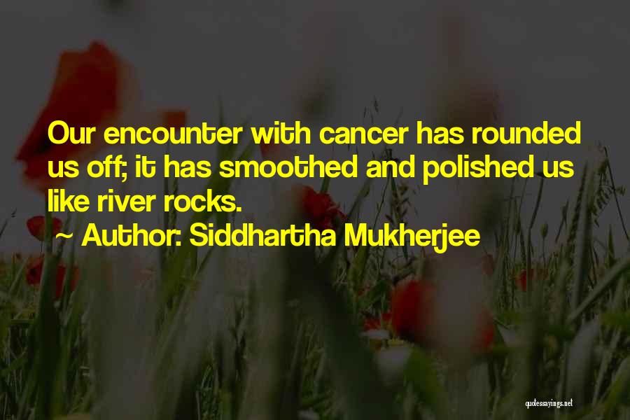 Siddhartha Mukherjee Quotes 1273246