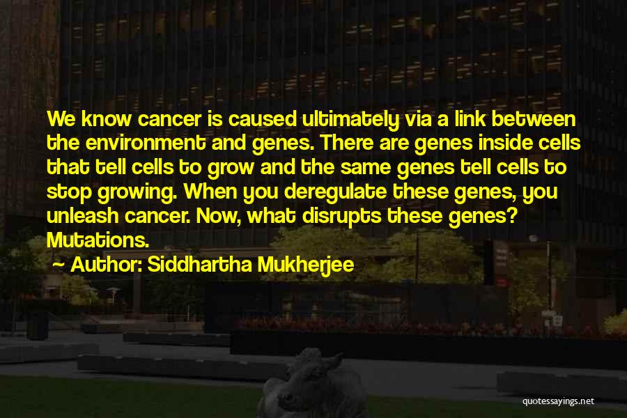 Siddhartha Mukherjee Quotes 1305642