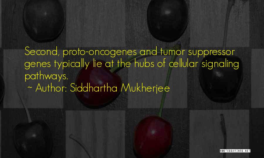 Siddhartha Mukherjee Quotes 1382400