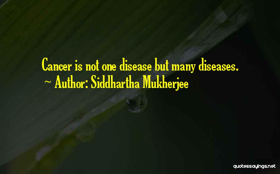 Siddhartha Mukherjee Quotes 1437408