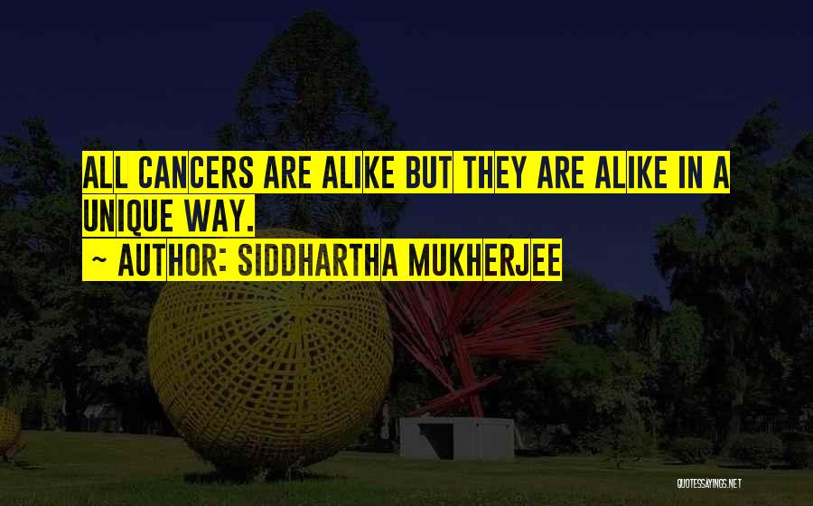 Siddhartha Mukherjee Quotes 1463386