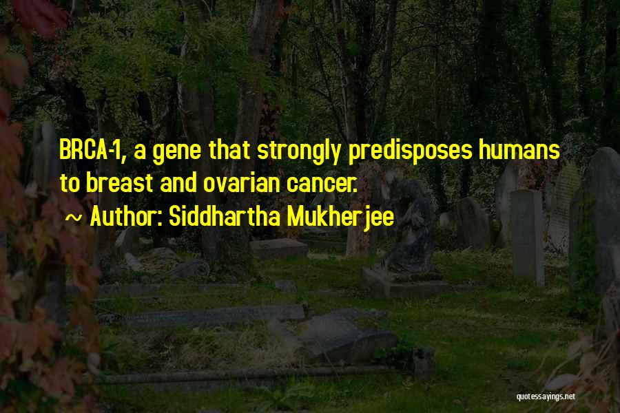 Siddhartha Mukherjee Quotes 1470256