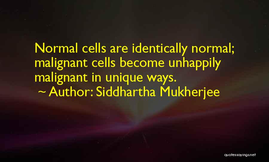 Siddhartha Mukherjee Quotes 2138558