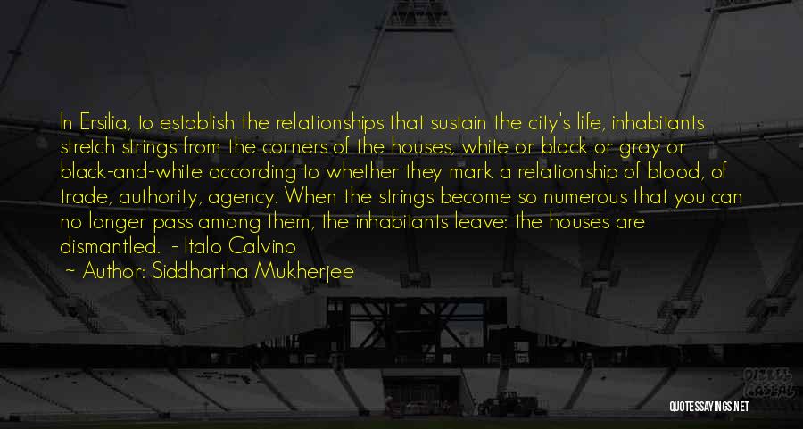 Siddhartha's Quotes By Siddhartha Mukherjee