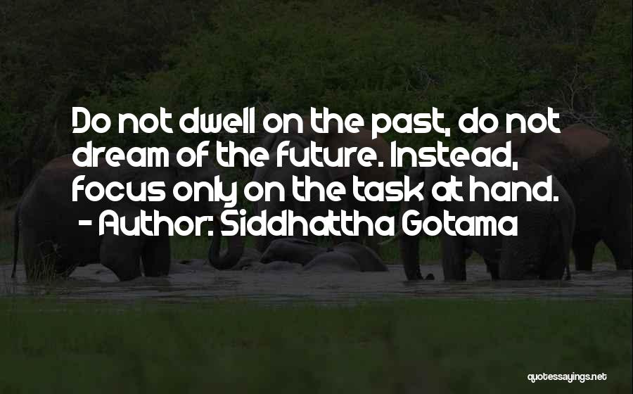 Siddhattha Gotama Quotes 491663