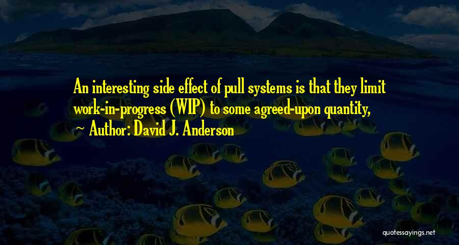 Side Effect Quotes By David J. Anderson