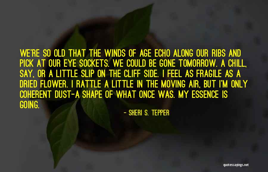 Side Eye Quotes By Sheri S. Tepper Side Eye Quotes By Sheri S. Tepper