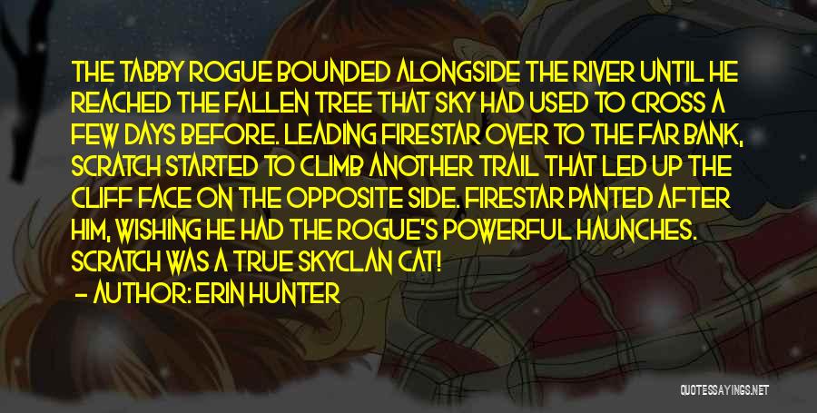 Side Face Quotes By Erin Hunter