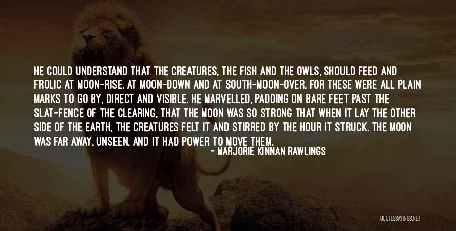 Side Of The Fence Quotes By Marjorie Kinnan Rawlings Side Of The Fence Quotes By Marjorie Kinnan Rawlings