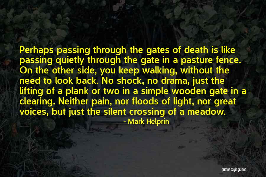 Side Of The Fence Quotes By Mark Helprin Side Of The Fence Quotes By Mark Helprin