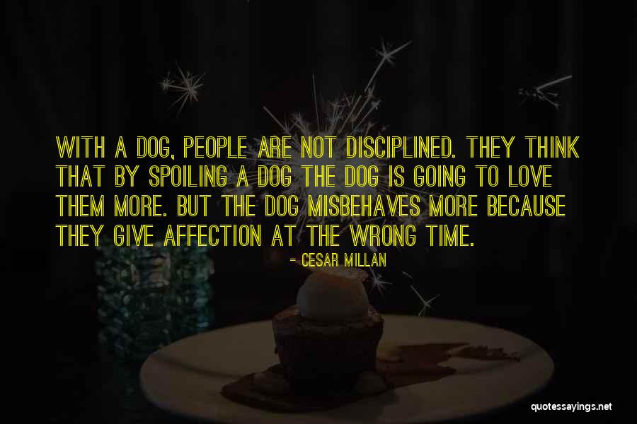 Side Room Ideas Quotes By Cesar Millan Side Room Ideas Quotes By Cesar Millan